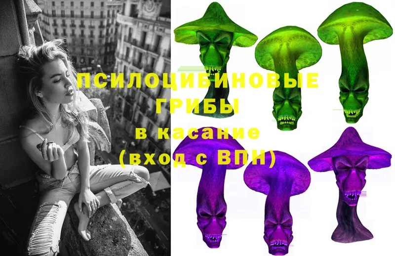 наркотики  Новоуральск  Галлюциногенные грибы Psilocybe 